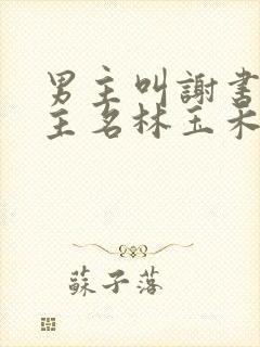 男主叫谢书淮女主名林玉禾的小说