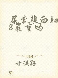 尿常规白细胞18严重吗