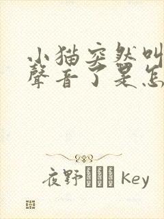 小猫突然叫不出声音了是怎么回事