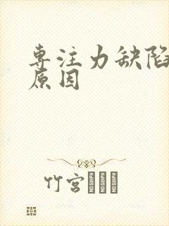 专注力缺陷症的原因