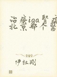 治疗iga肾病北京哪个医院最好