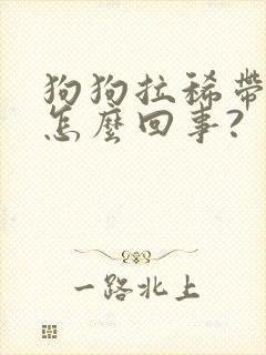 狗狗拉稀带血是怎么回事?