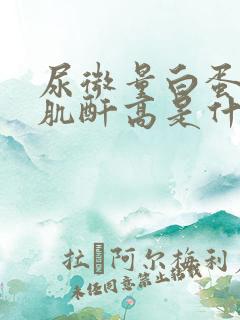 尿微量白蛋白尿肌酐高是什么意思