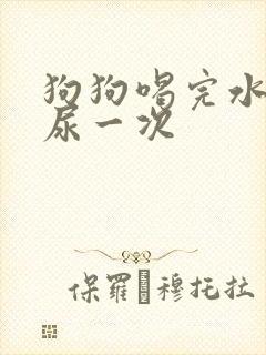 狗狗喝完水多久尿一次