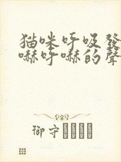 猫咪呼吸发出呼哧呼哧的声音