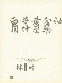 白带黄分泌物多用什么药