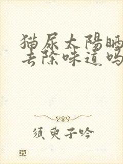 猫尿太阳晒可以去除味道吗