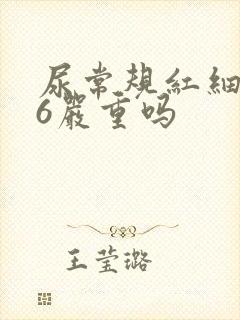 尿常规红细胞36严重吗