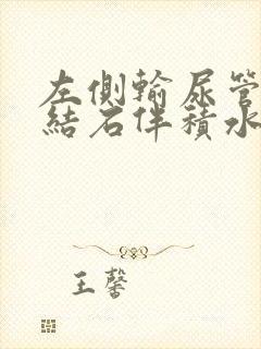 左侧输尿管下段结石伴积水