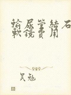 输尿管结石手术软镜费用