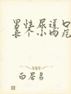 男性尿道口里面长个小肉疙瘩是怎么回事