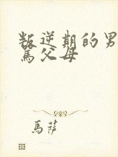 叛逆期的男孩打骂父母