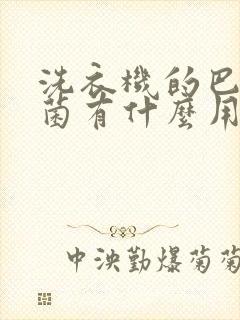 洗衣机的巴氏杀菌有什么用