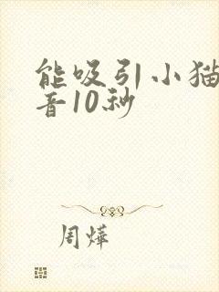 能吸引小猫的声音10秒