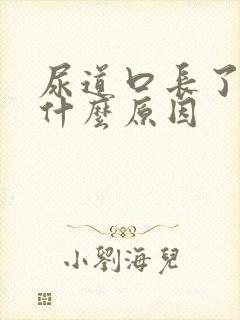 尿道口长了肉粒什么原因