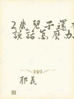 2岁儿子还不会说话怎么办