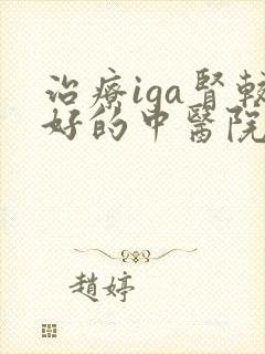 治疗iga肾较好的中医院