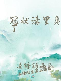 冠状沟里臭是咋了