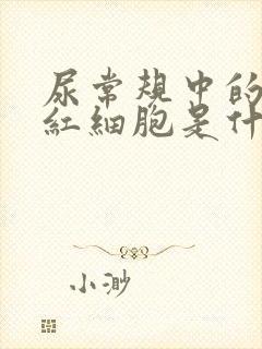 尿常规中的异常红细胞是什么意思