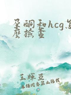 孕酮和hcg怎么检查