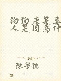 狗狗老是喜欢舔人是因为什么