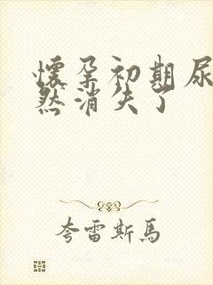 怀孕初期尿频突然消失了