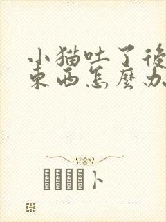 小猫吐了后不吃东西怎么办