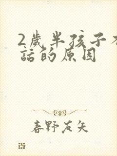 2岁半孩子不说话的原因