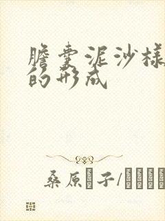 胆囊泥沙样结石的形成