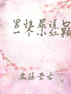 男性尿道口长了一个小红颗粒