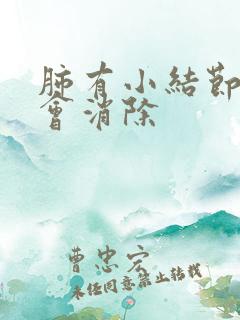 肺有小结节会不会消除