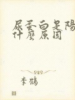 尿蛋白是阳性是什么原因