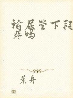 输尿管下段结石疼吗