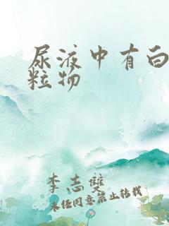 尿液中有白色颗粒物