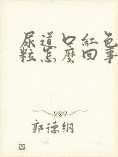 尿道口红色长肉粒怎么回事