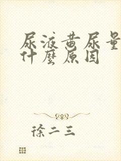 尿液黄尿量少是什么原因