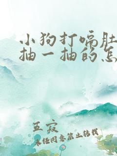 小狗打嗝肚子一抽一抽的怎么回事?