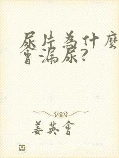 尿片为什么总是会漏尿?