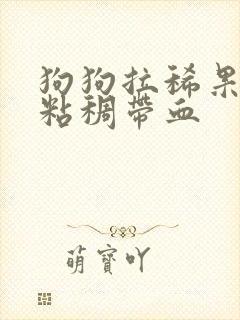 狗狗拉稀果冻状粘稠带血