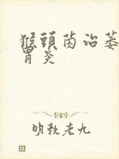 猴头菌治萎缩性胃炎