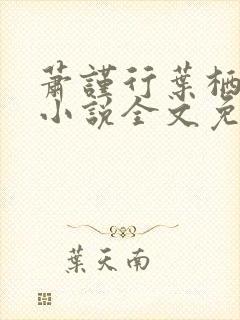 萧谨行叶栖迟的小说全文免费阅读