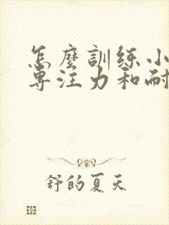 怎么训练小孩的专注力和耐心