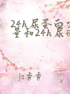 24h尿蛋白定量和24h尿微量白蛋白