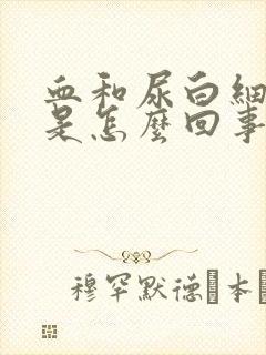 血和尿白细胞高是怎么回事