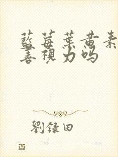 蓝莓叶黄素能改善视力吗