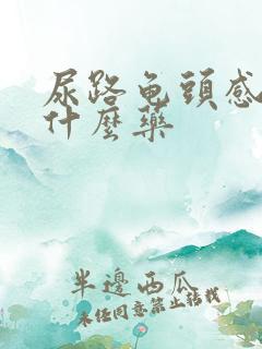 尿路龟头感染吃什么药