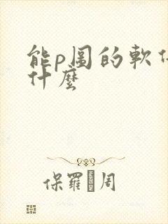 能p图的软件是什么