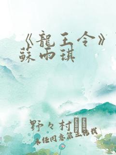 《龙王令》陈平苏雨琪