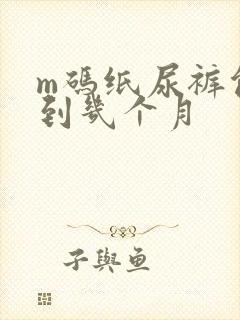 m码纸尿裤能用到几个月