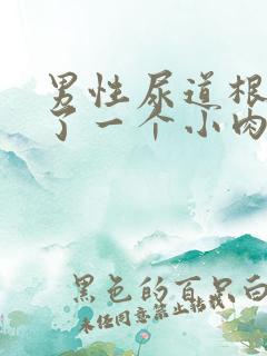 男性尿道根部长了一个小肉粒